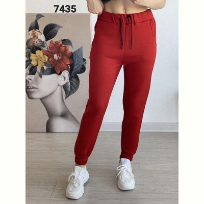 Штаны спорт FSN 7435 red
