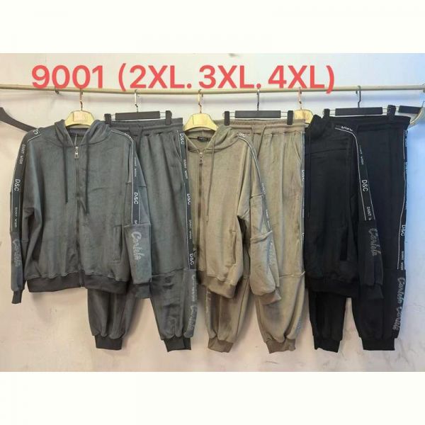Костюм спорт Saint Wish 9001 grey