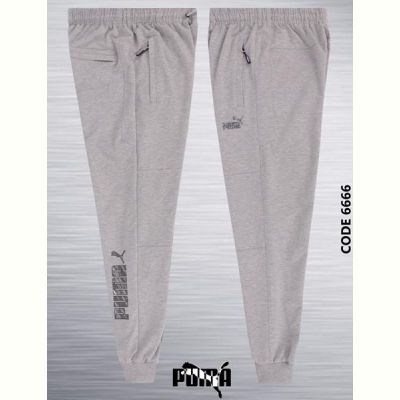 Спортивные штаны AZT AZ338-6666 l.grey