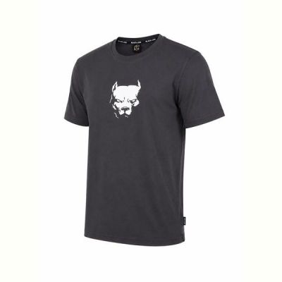 Футболка Alex Clothes 14579 grey