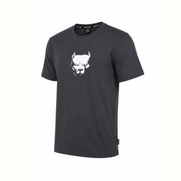 Футболка Alex Clothes 14579 grey