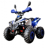 Електричний квадроцикл для дорослих із ланцюговим приводом SN-EA66 ATV 48V 1000W