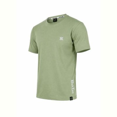 Футболка Alex Clothes 14582 mint