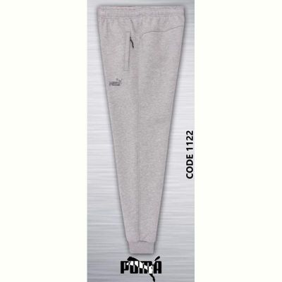 Спортивные штаны AZT AZ329-1122 l.grey