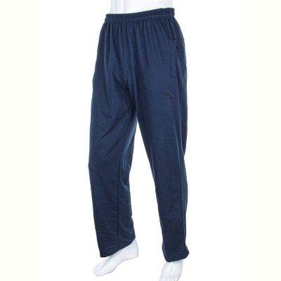 Штаны спорт Denis sport Pu-m 3 blue