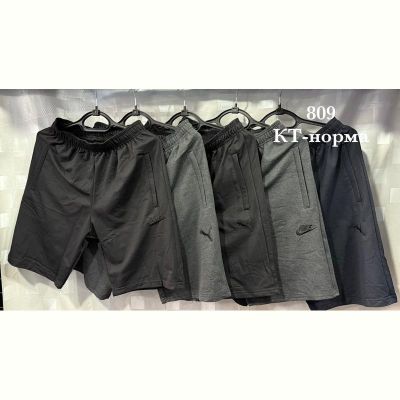 Шорты Shon S2788 grey
