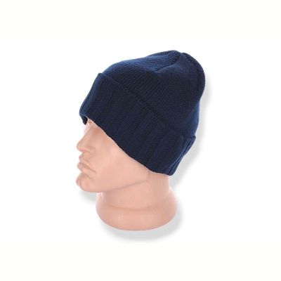 Шапка Red Hat clothes Y135-2 blue