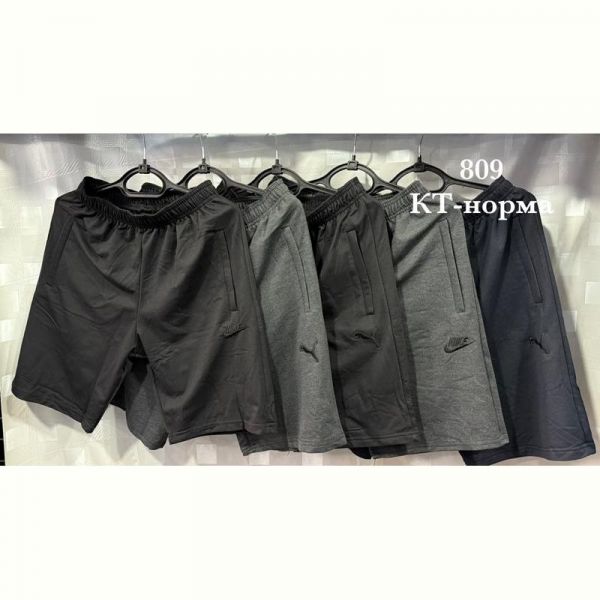Шорты Shon S2790 grey