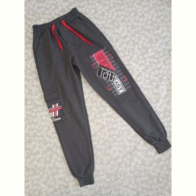Штаны спорт Malibu2 1028-25 grey