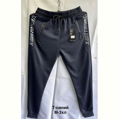 Штаны спорт Minh 2818 navy