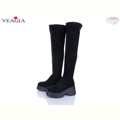 Ботфорты Veagia T02-2