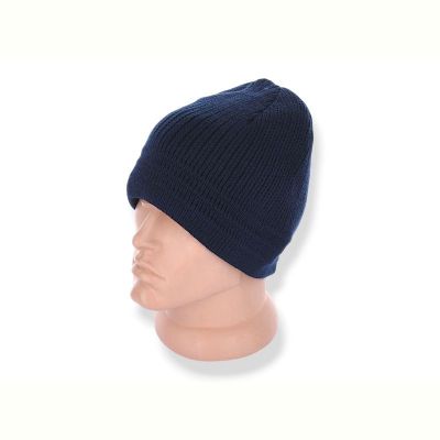 Шапка Red Hat clothes Y136-2 blue