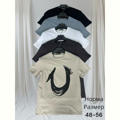 Футболка Hai HH53 d.grey