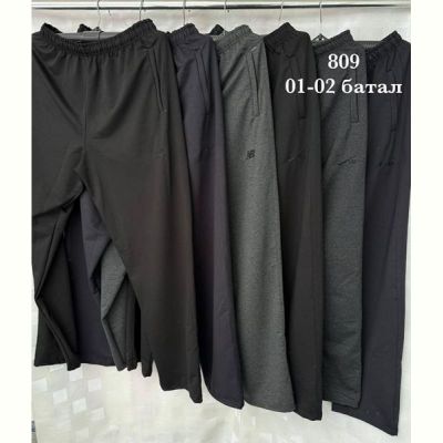 Штаны спорт Shon 02 navy