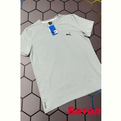Футболка Alex Clothes 13119 l.grey