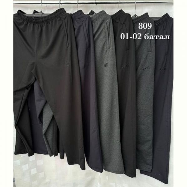 Штаны спорт Shon 02 grey