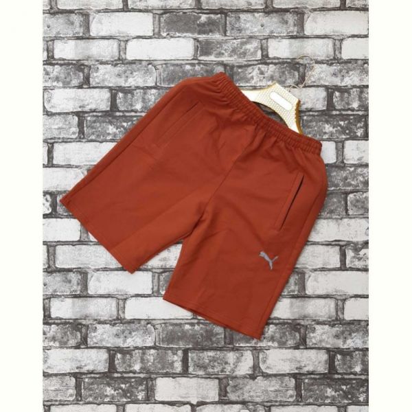 Шорты Sport style 005 brown