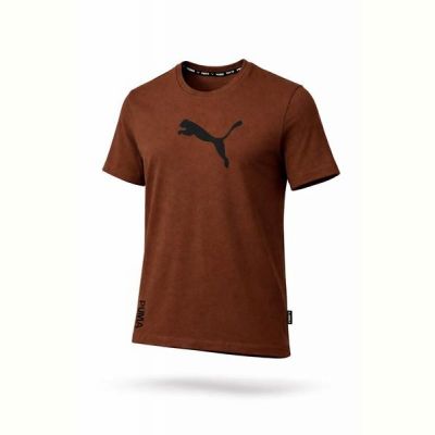 Футболка Alex Clothes 14106 brown