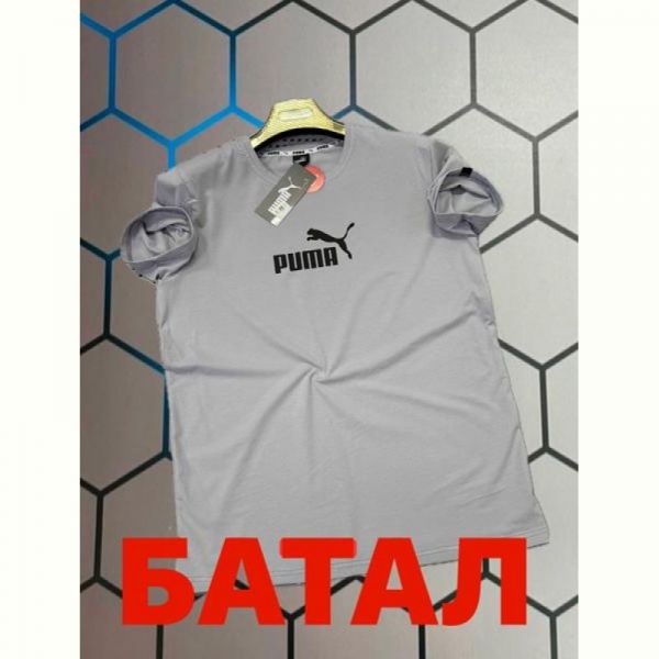 Футболка Alex Clothes 13992 grey