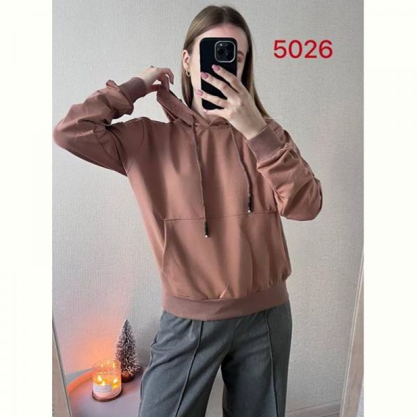 Худи FSN 5026 brown