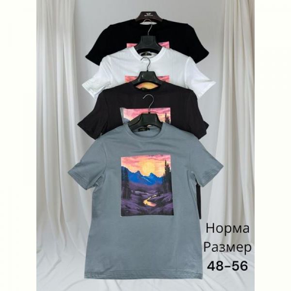 Футболка Hai HH62 grey