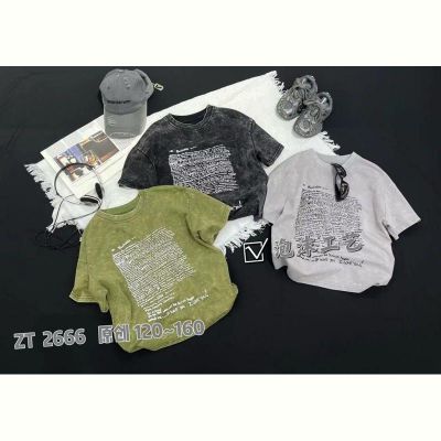 Футболка Фунтик 2666 l.grey