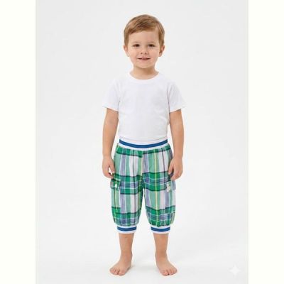 Шорты Malibu2 1107 green