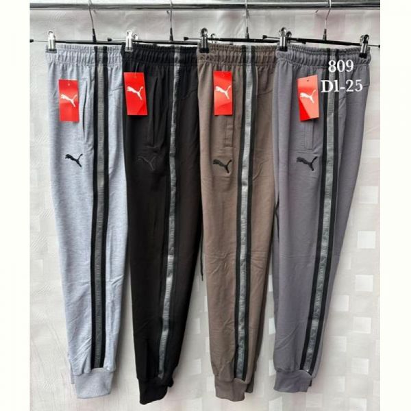 Штаны спорт Shon S2363 l.grey