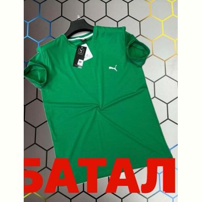 Футболка Alex Clothes 13405 green