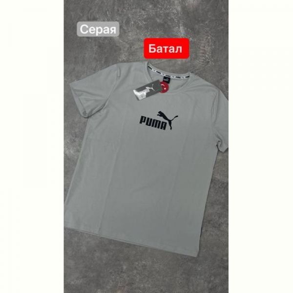 Футболка Alex Clothes 13809 grey