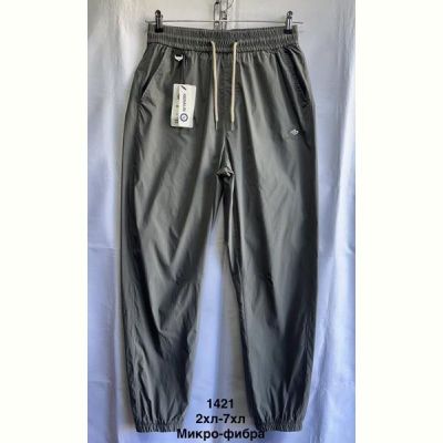 Штаны спорт Minh 1421 grey