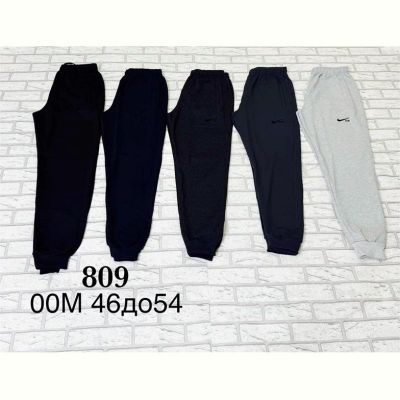 Штаны спорт Shon 00M-2 navy