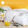 Одеяло всесезонное 175х210 см двуспальное Air Dream Exclusive IDEIA двойное супер теплое дабл антиаллергенное