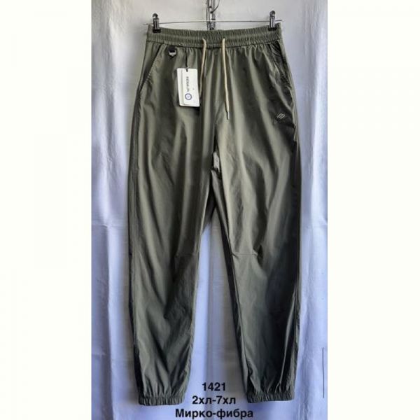 Штаны спорт Minh 1421 khaki