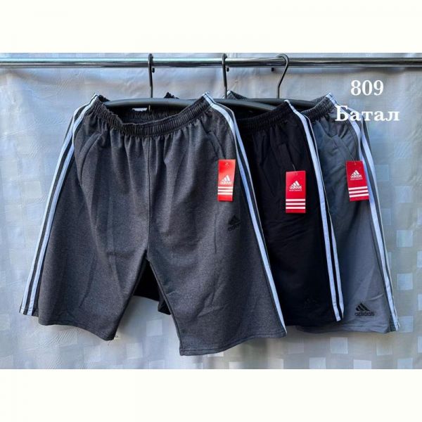Шорты Shon S2836 l.grey