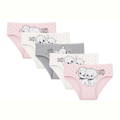 Трусы Disneyopt kids DS315-4171PB212 mix (6-7)