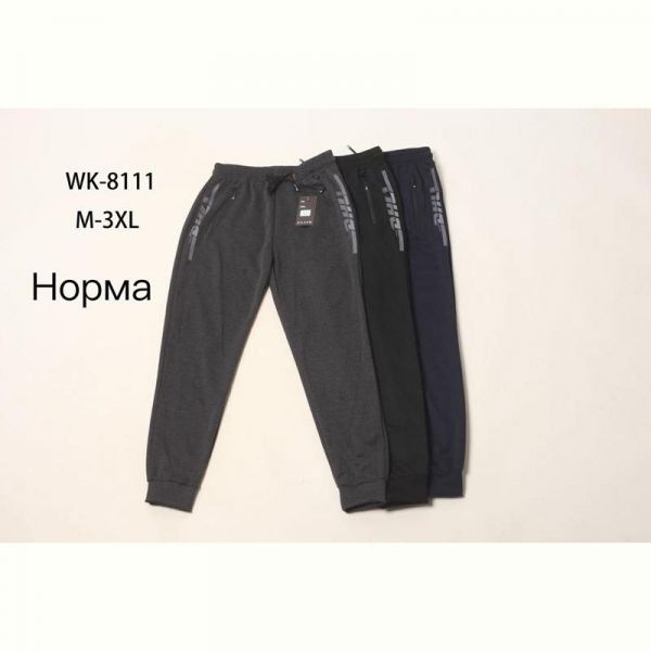 Штаны спорт Hoan WK8111 grey