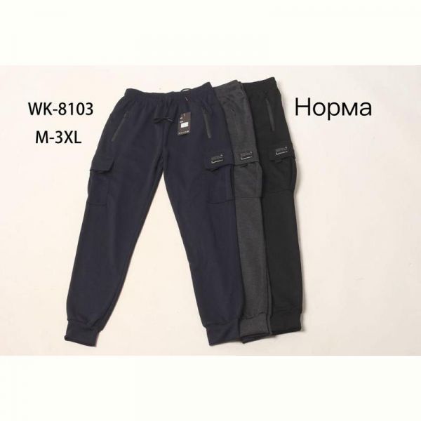Штаны спорт Hoan WK8103 navy