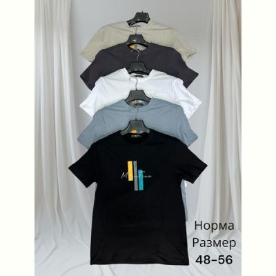 Футболка Hai HH78 grey