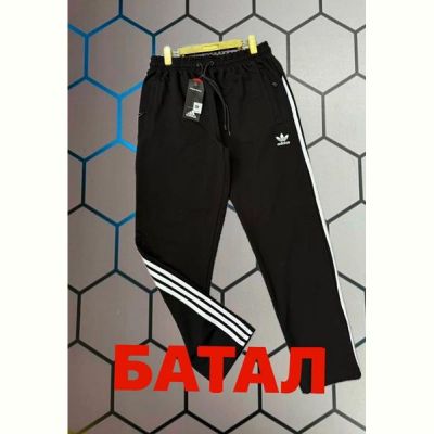 Штаны спорт Alex Clothes 4873 black