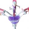 RB16G-1-ВЕЛОСИПЕД ДИТЯЧИЙ ROYAL BABY STARGIRL ФІОЛЕТОВИЙ 16 ДЮЙМІВ