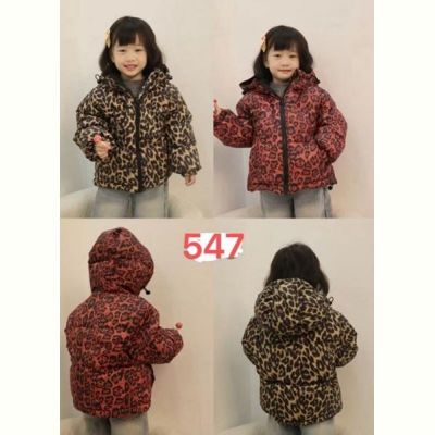 Куртка Farbique 547 brown
