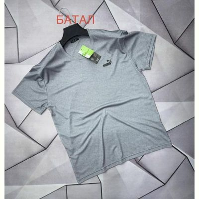 Футболка Rassul 66686 grey