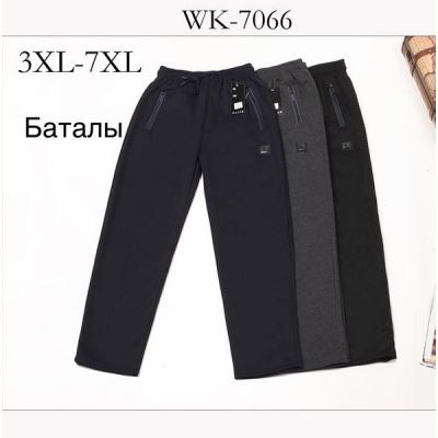Штаны спорт Giang 7066 navy