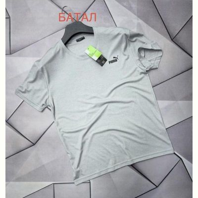 Футболка Rassul 66687 grey