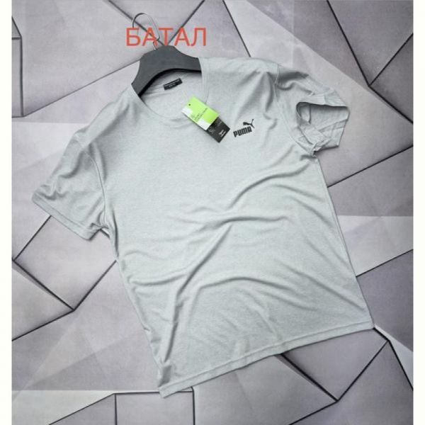 Футболка Rassul 66687 grey