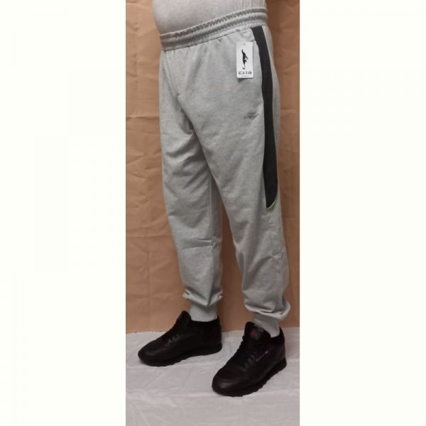 Штаны спорт Red Hat clothes 1689 l.grey