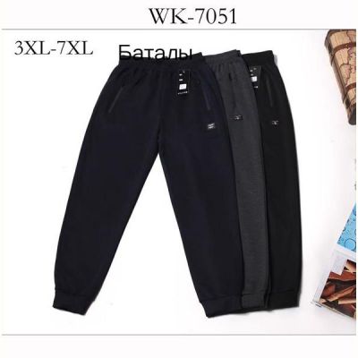 Штаны спорт Giang 7051 navy