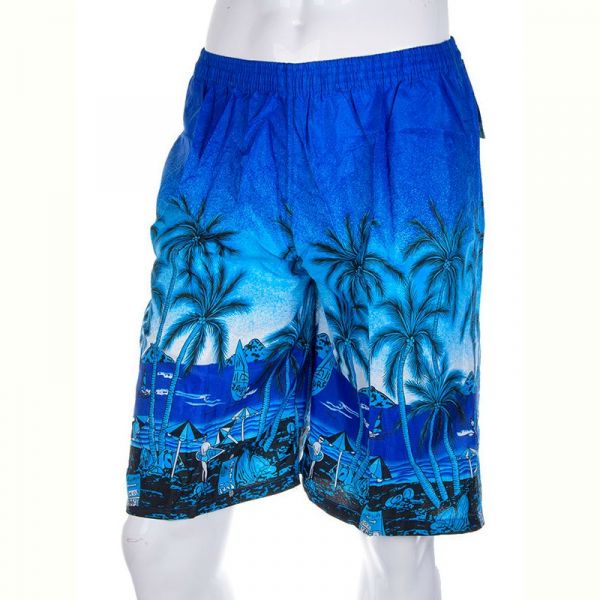 Шорты Meisty 0081-7 blue