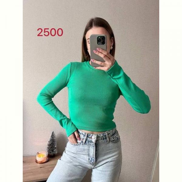 Топ FSN 2500 l.green